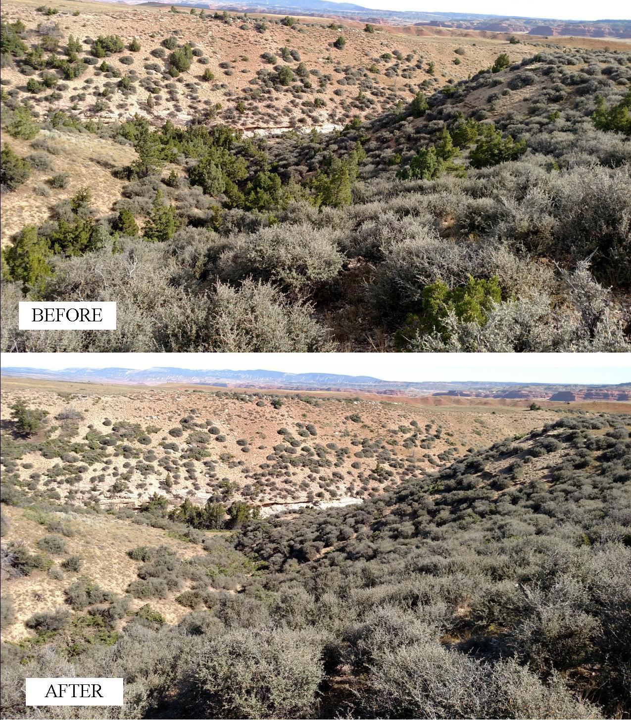 Before and after treatment